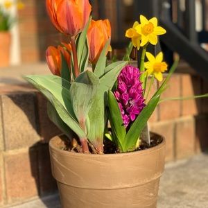 Meet your Posher, Lynne